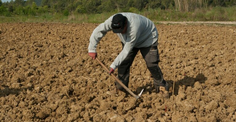 Produtores de 16 estados poderão renegociar dívidas do crédito rural