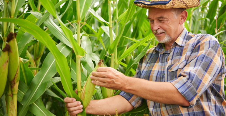 IN RFB 2185-24: mudanças para o produtor rural pessoa física