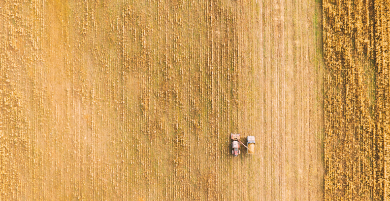 Autorizada renegociação de crédito rural em municípios atingidos pelas chuvas