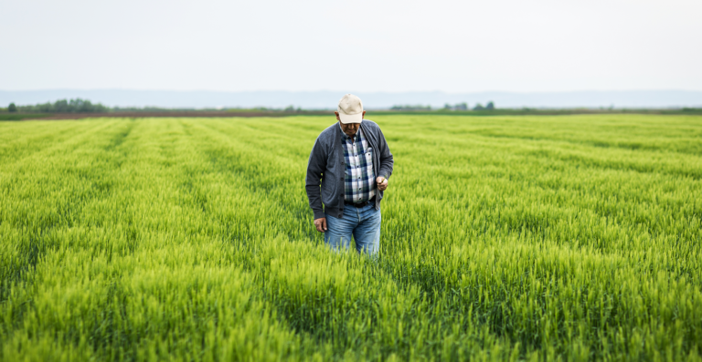 Cadastro Ambiental Rural já pode ser usado para cálculo do ITR
