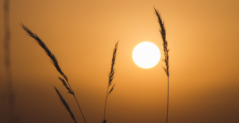 Cuidados para saúde do trabalhador em tempos de seca e calor