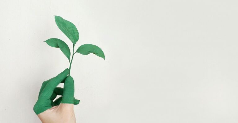 Sustentabilidade e SSDs: escolhas tecnológicas que fazem a diferença no futuro