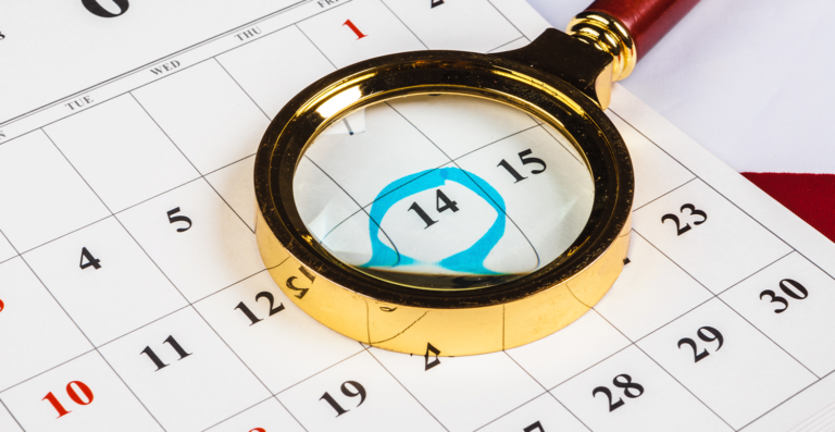 Calendário do Bolsa Família de novembro já está disponível