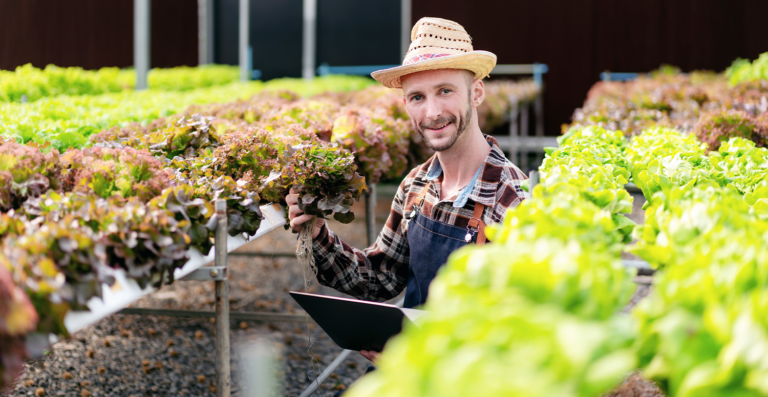 Agro: aprovado PL que concede isenção tributária para startups