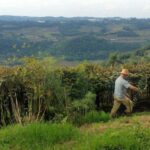 Livro Caixa do Produtor Rural: obrigação e gestão eficiente