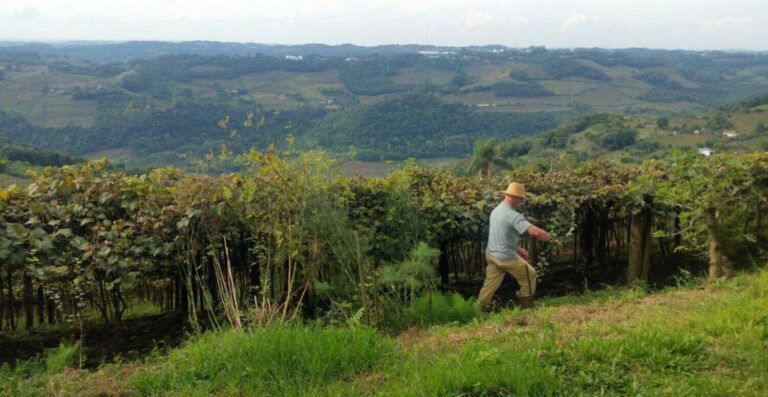Livro Caixa do Produtor Rural: obrigação e gestão eficiente