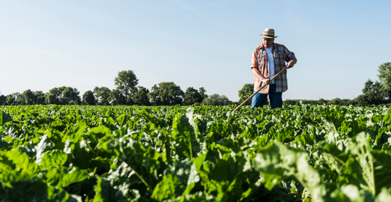 Governo lança Desenrola Rural para pequenos produtores