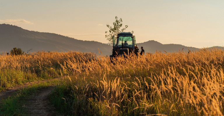 Crédito de carbono poderá quitar impostos agropecuários