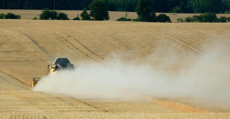 Reforma Tributária: agronegócio brasileiro ganha com redução de 60% em impostos