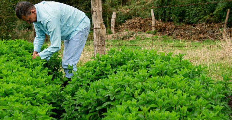 DITR 2025: prazo final é nesta terça-feira (30)