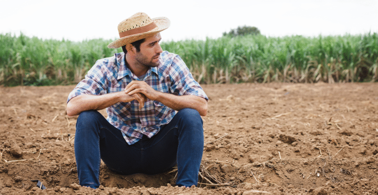 Receita Federal nega criação de malha fina no ITR