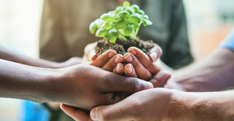 COP30: quando a economia encontra a ecologia