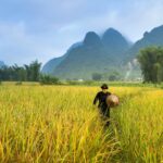 Crédito rural de R$ 12 bi emperra e deixa produtores sem acesso