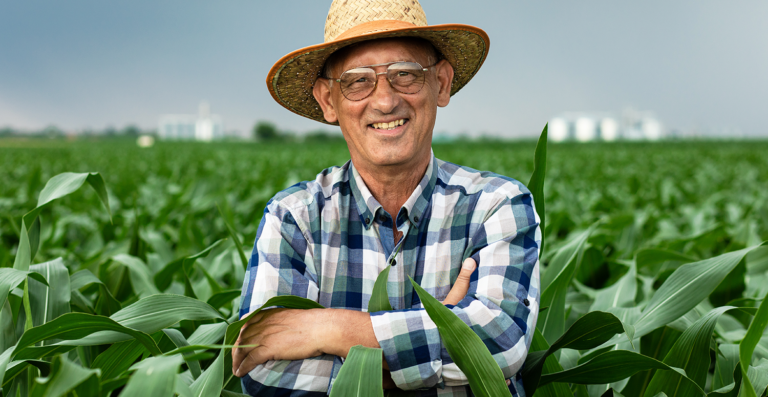 Receita Federal orienta produtores rurais sobre autorregularização