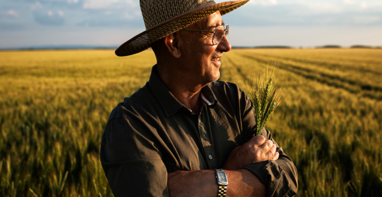 Desenrola Rural: prazo final para renegociação de dívidas agrícolas