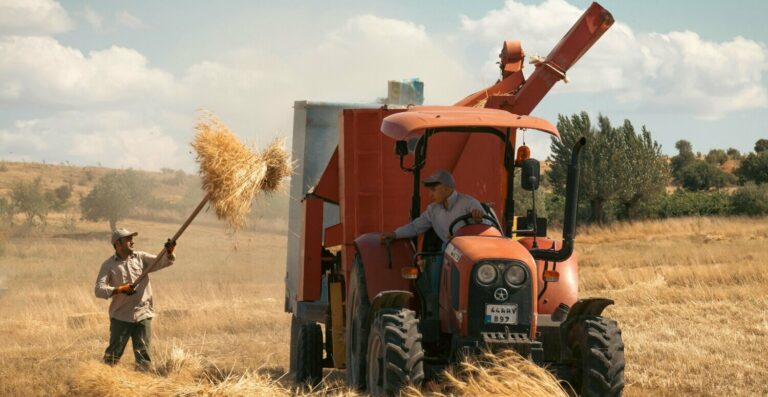 Produtor Rural: CNPJ é obrigatório com IBS e CBS?