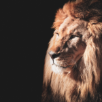 IRPF 2026: descubra as principais questões polêmicas da declaração