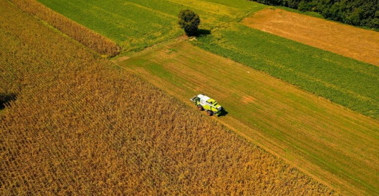 Reforma Tributária: como o agronegócio pode pagar menos impostos