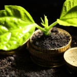 Falta de definição sobre créditos de carbono preocupa empresas na reforma tributária