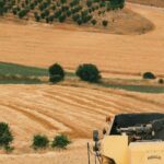 Crédito Rural: MP de Renegociação da Dívida do Agronegócio