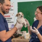 Projeto prevê dedução de despesas com cães e gatos no IR